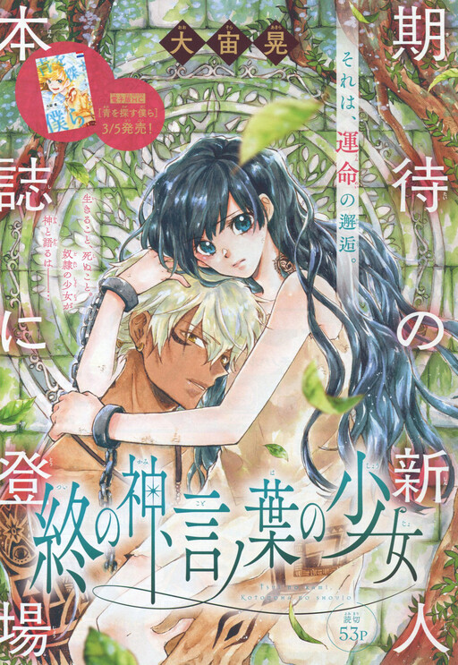 Cover of Oosora Akira Works Collections