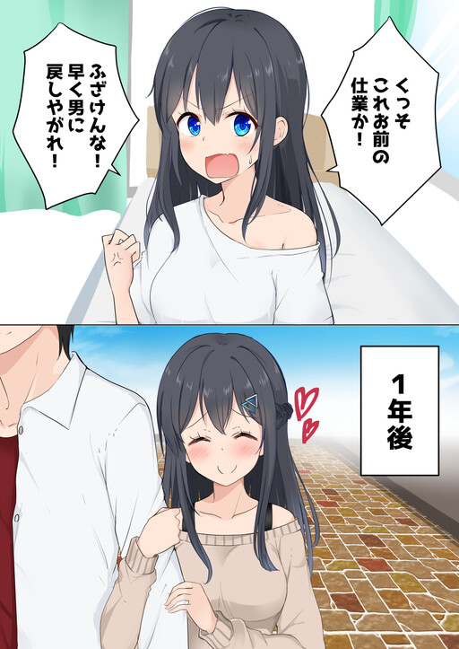 Cover of The Fallen TS Girl