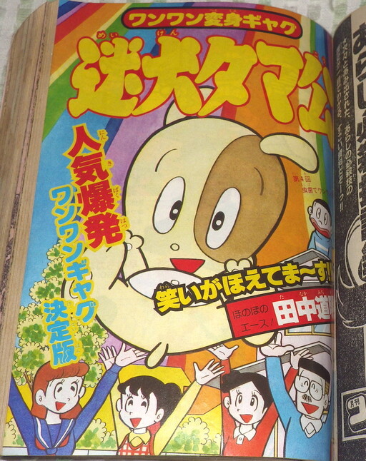 Cover of Stray Dog Tama