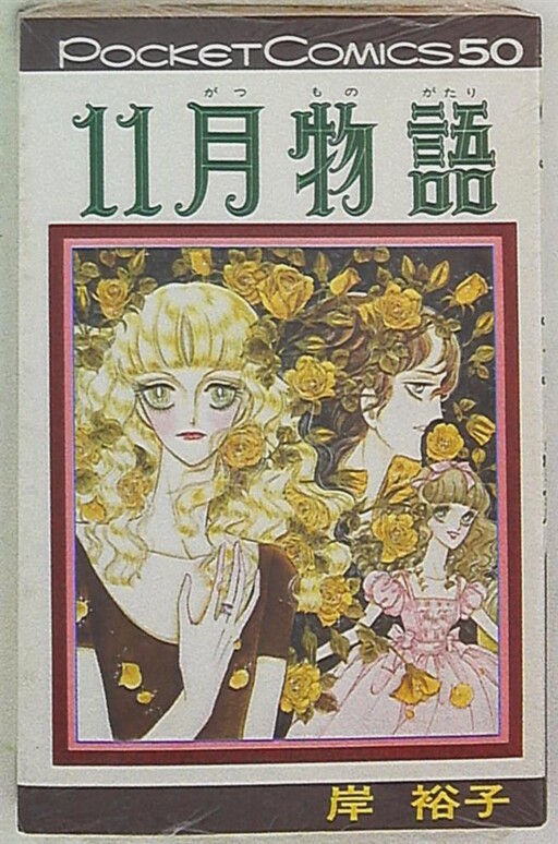 Cover of November Story