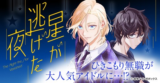 Cover of 星が逃げた夜
