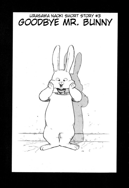Cover of Goodbye Mr. Bunny