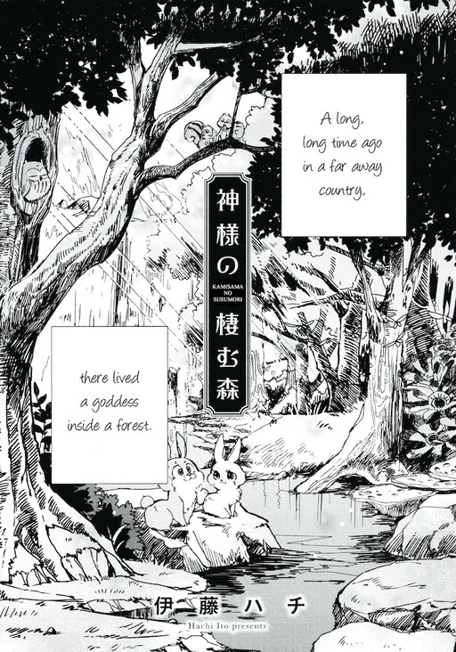 Cover of The Forest Where the Goddess Lives