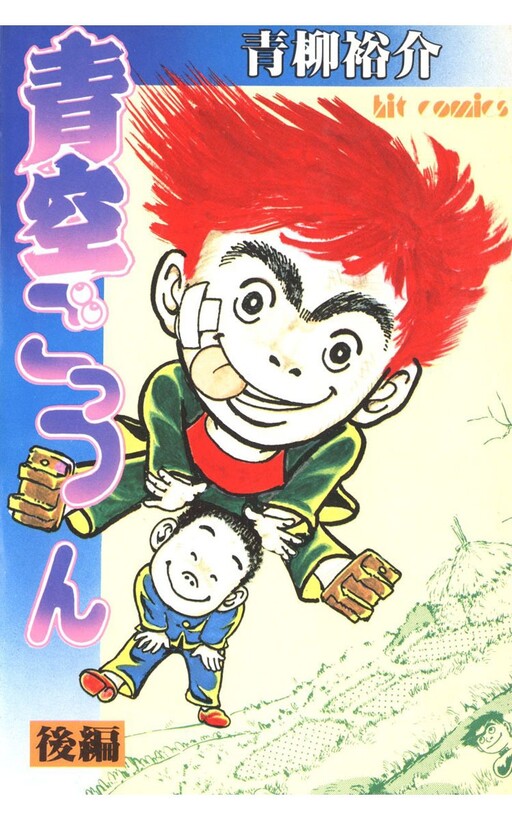 Cover of Aozora Swallow