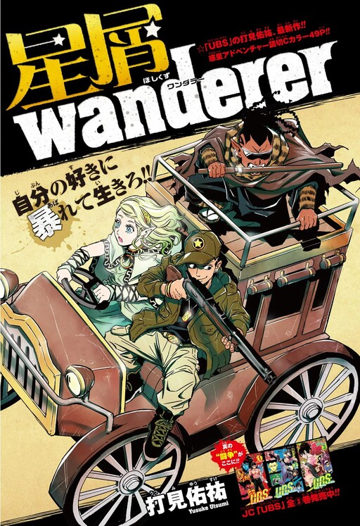 Cover of Stardust Wanderer