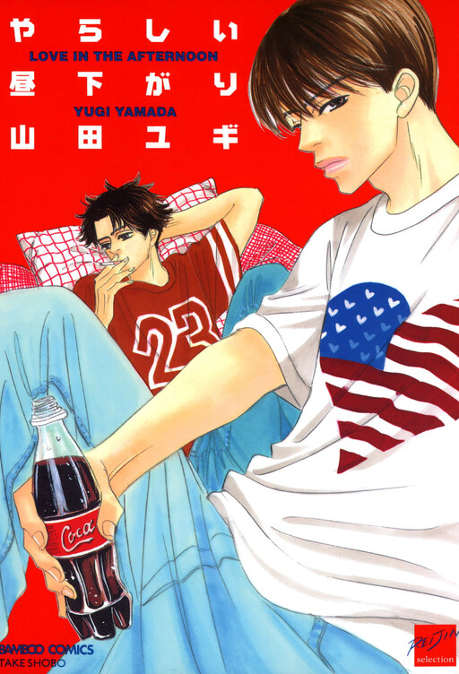 Cover of Yarashii Hirusagari