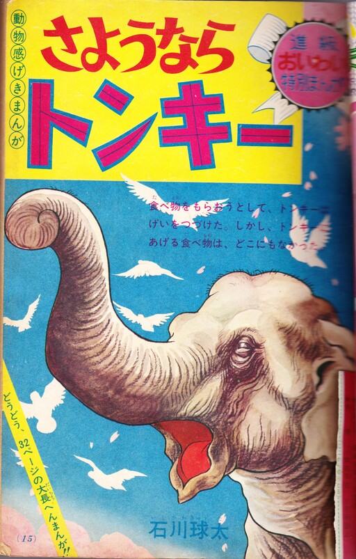 Cover of Goodbye Tonky