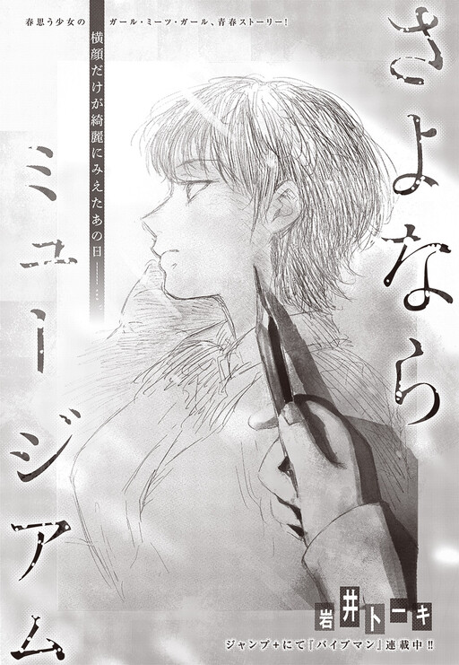 Cover of Goodbye, Museum