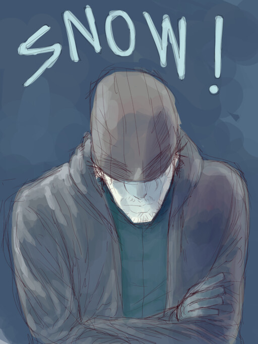 Cover of SNOW