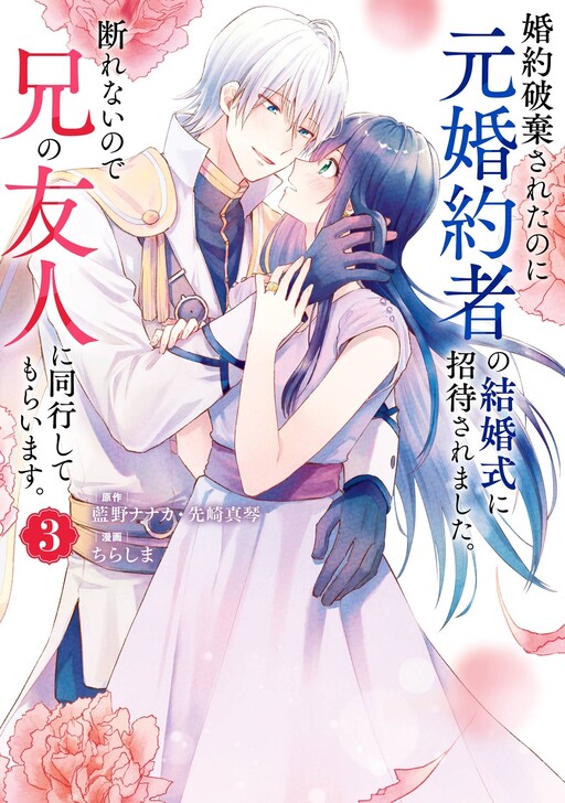 Cover of The Secret of My Brother's Friend