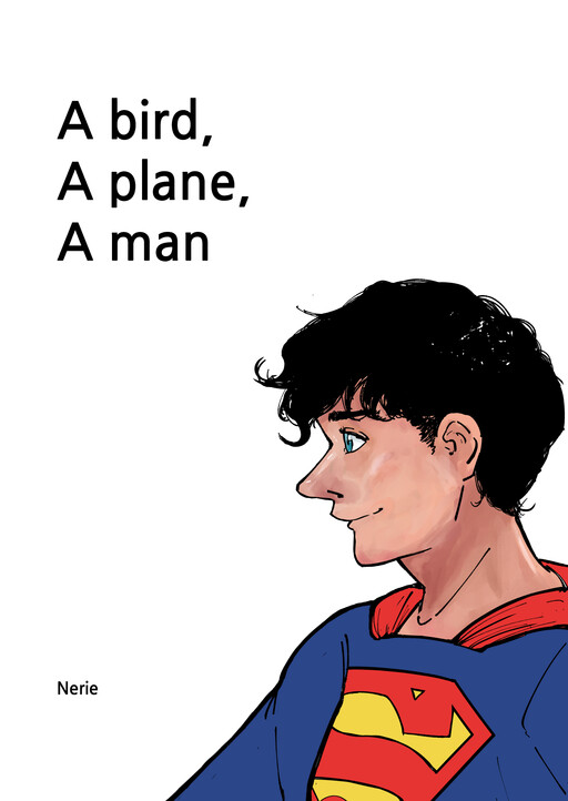 Cover of A bird, A plane, A man