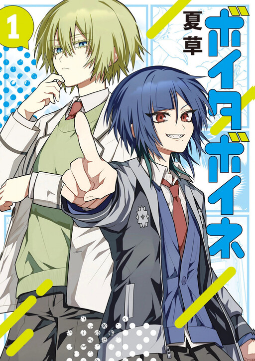 Cover of Boita Boine
