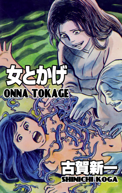 Cover of Lady Lizard