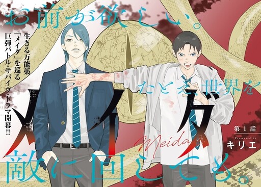 Cover of メイダ