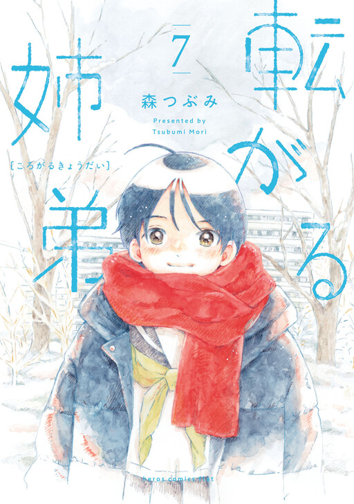 Cover of Stumbling Siblings