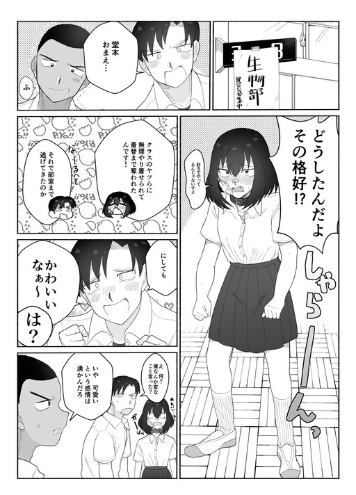 Cover of Crossdressing