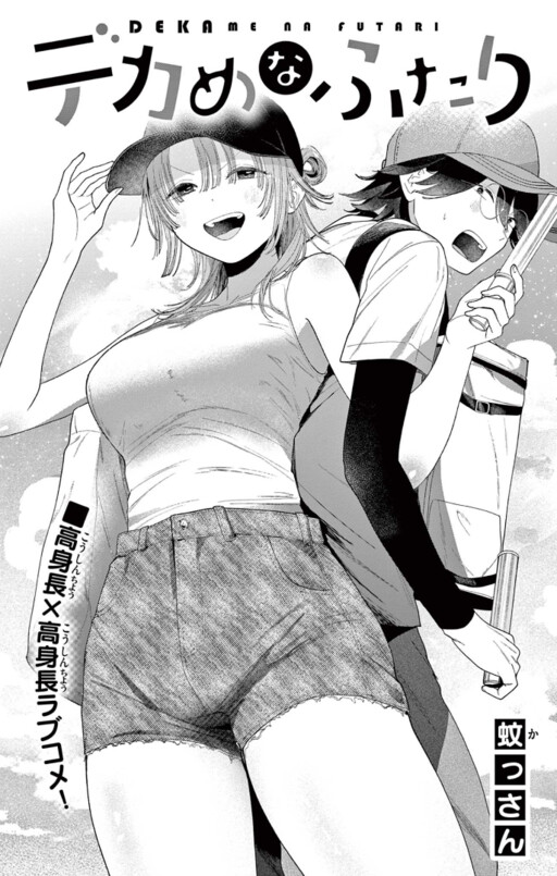 Cover of A Rather Large Couple