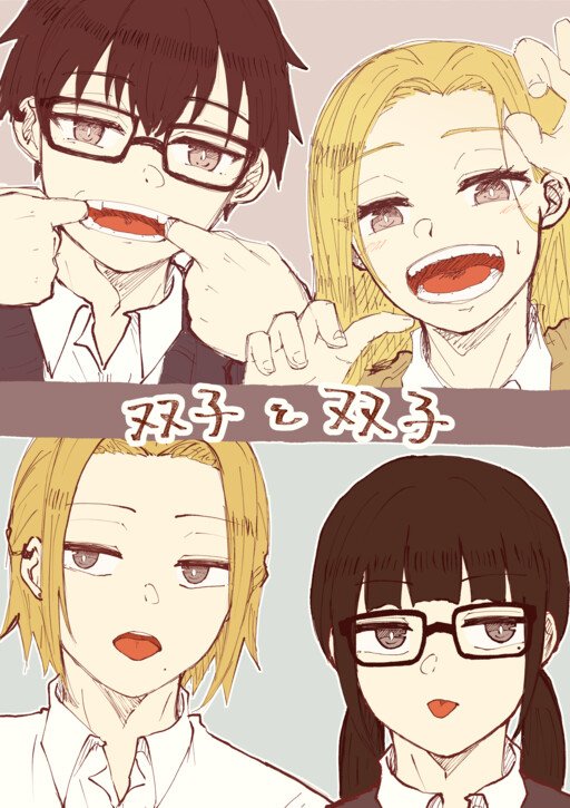 Cover of Twins and Twins