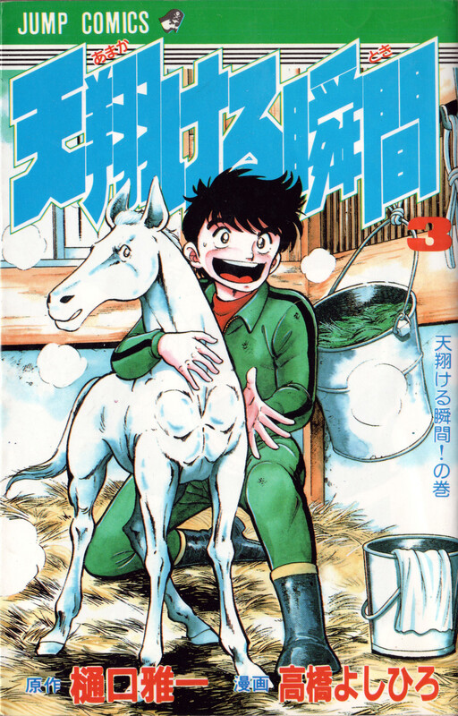Cover of 天翔ける瞬間