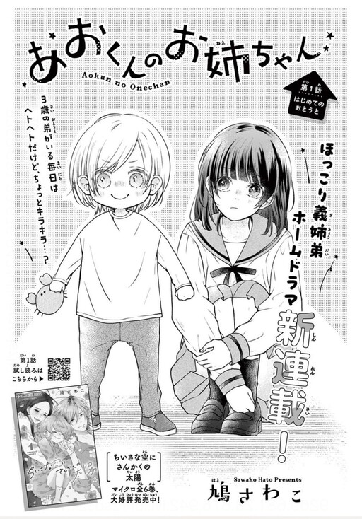 Cover of あおくんのお姉ちゃん