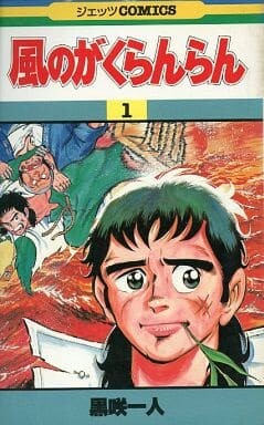 Cover of The Wind is Raging