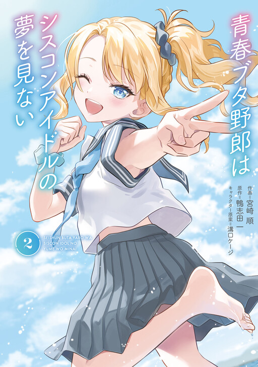 Cover of Rascal Does Not Dream of Siscon Idol