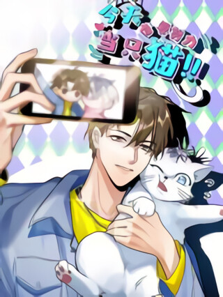 Cover of I Have to Work Hard as a Cat Today