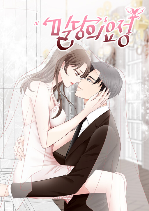 Cover of Fairy of Pushing and Pulling