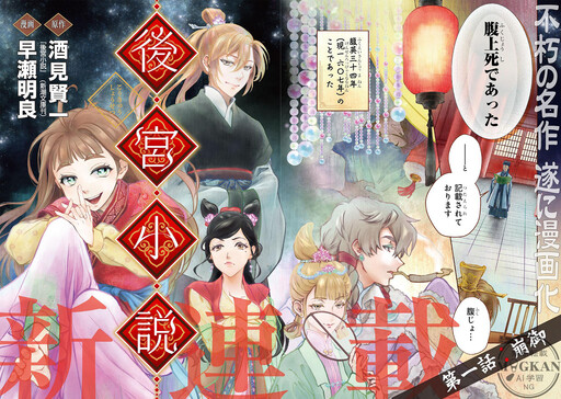 Cover of 後宮小説