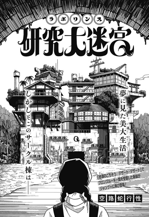 Cover of Kenkyuu Dai-Meikyuu: Laborinth