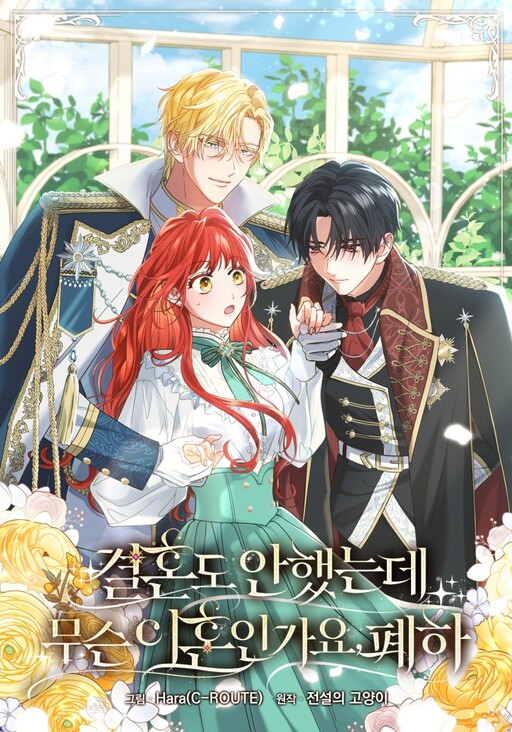 Cover of Divorcing the Emperor