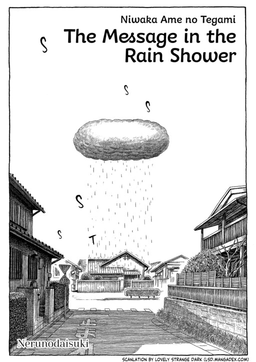 Cover of The Message in the Rain Shower