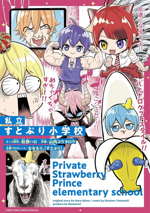 Cover of Private Strawberry Prince Elementary School