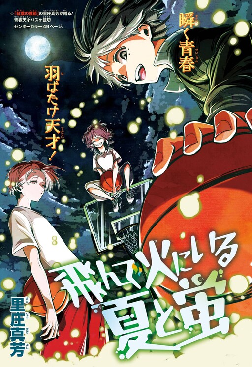 Cover of Summer and Insects in the Fire's Flight