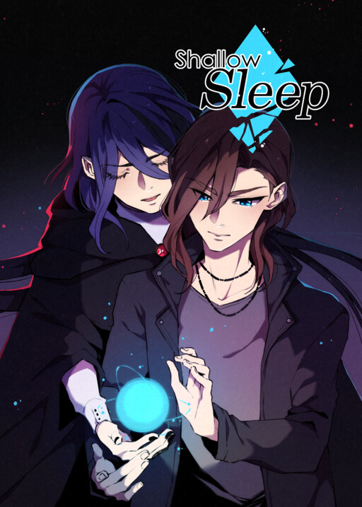 Cover of Shallow Sleep