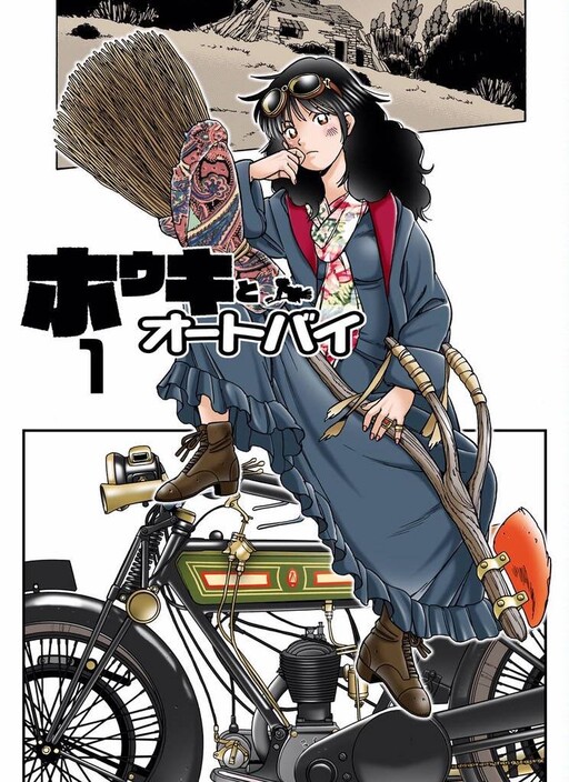 Cover of The Bike and the Broomstick