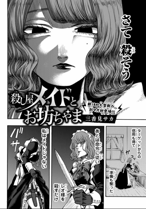 Cover of The Assassin Maid and the Young Master
