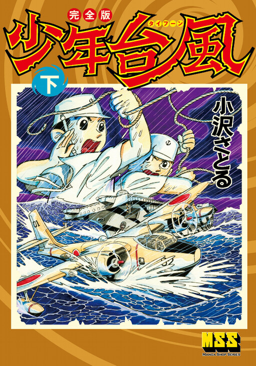 Cover of Teenage Typhoon
