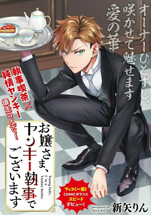 Cover of Young Lady, I'm a Yankee Butler