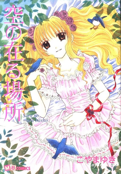 Cover of Where the Sky is