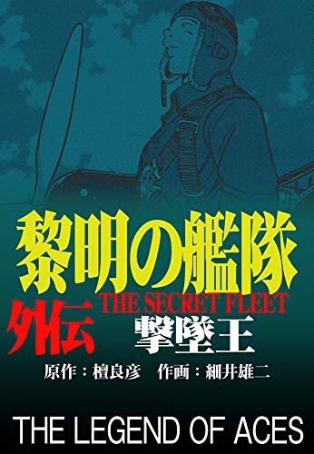 Cover of The Secret Fleet