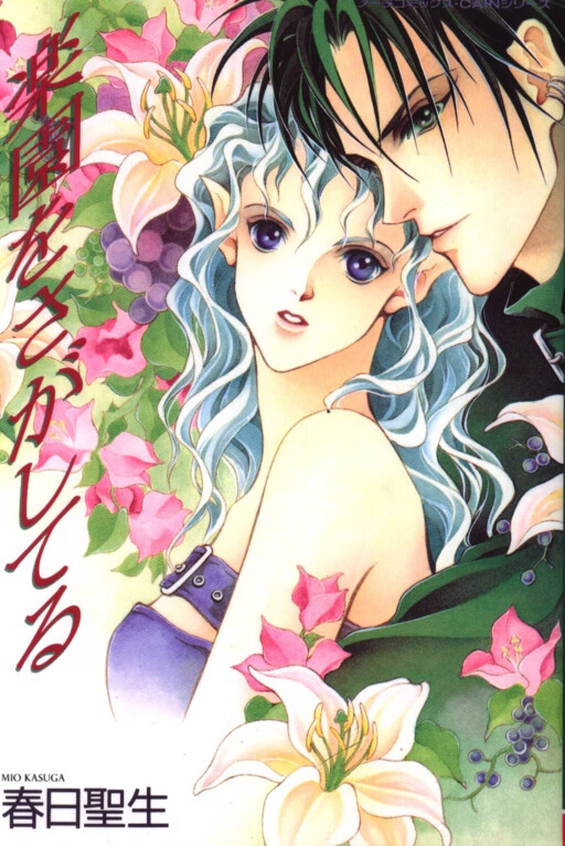 Cover of Looking for Paradise