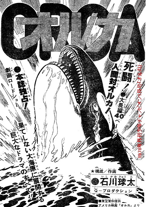 Cover of Orca (Roadshow)