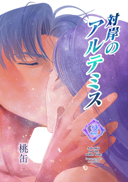 Cover of Artemis on the Other Side