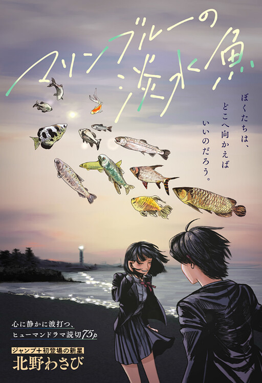Cover of Marine Blue Fish