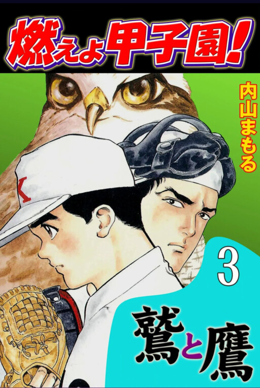 Cover of Burn Koshien! The Eagle and the Hawk