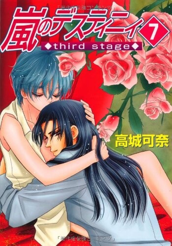 Cover of 嵐のデスティニィthird stage