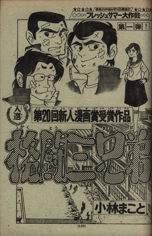 Cover of The Three Fighting Brothers