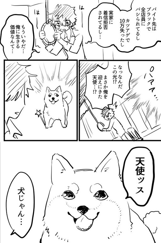 Cover of The Angel Dog