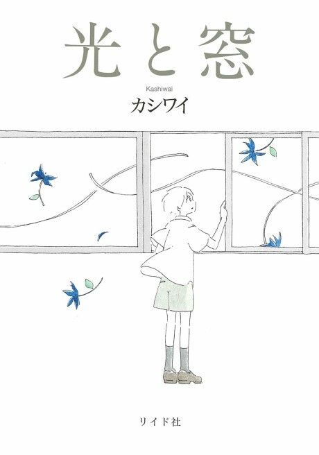 Cover of Light and Windows